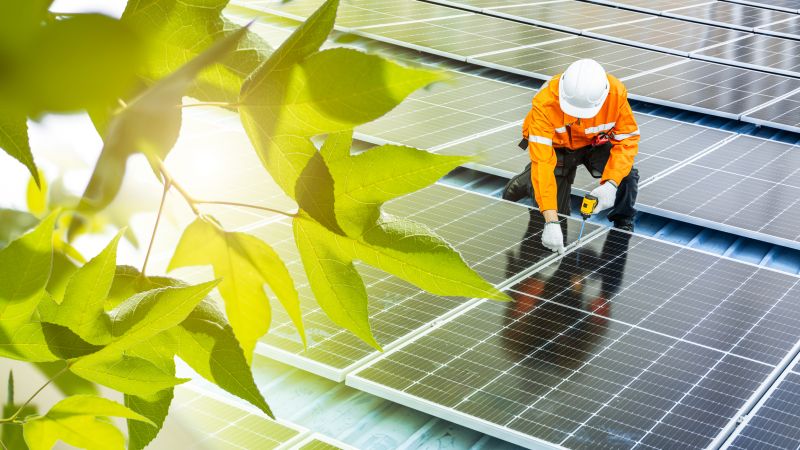 Professional Solar Panel Service